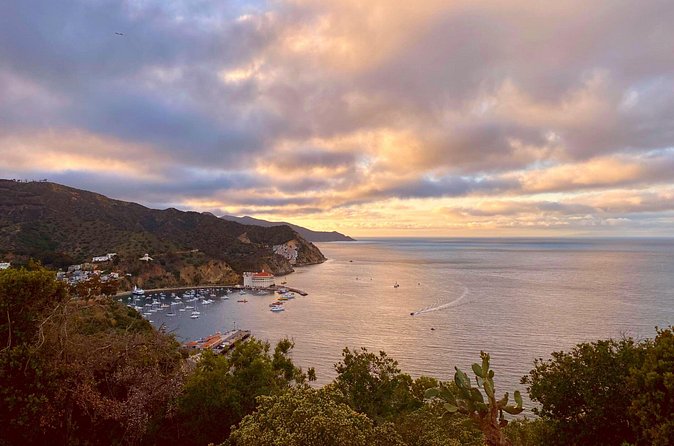 Walking History Tour on Catalina Island - Bre’s guiding style and group size