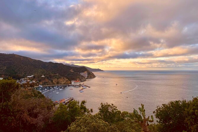 Walking History Tour on Catalina Island - Is $40 a fair price?