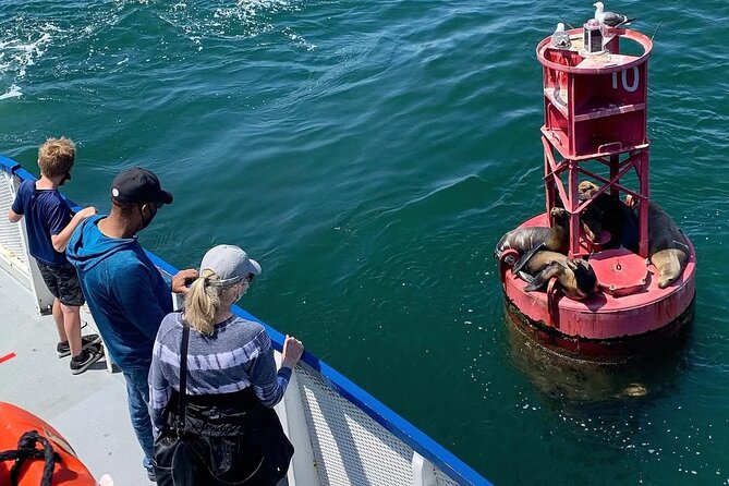 West Harbor LA 45-Minute Narrated Harbor Cruise of San Pedro - Warehouses, fish market, and the future waterfront