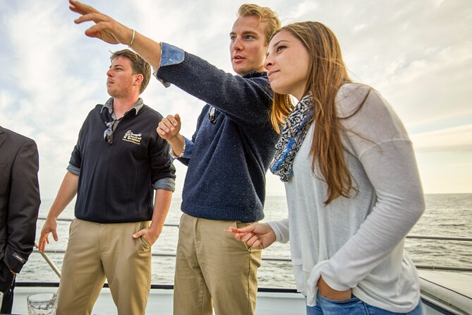 Whale and Wildlife Yacht Cruise in Santa Barbara - What the wildlife search may bring