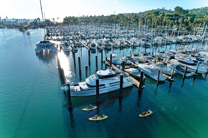 Wildlife Kayak Tour in Santa Barbara Harbor (2 Hours) - Learning to launch without panic