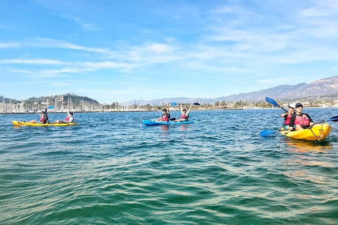 Wildlife Kayak Tour in Santa Barbara Harbor (2 Hours) - Stearns Wharf from sea level