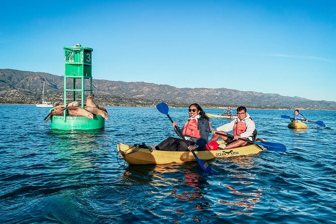 Wildlife Kayak Tour in Santa Barbara Harbor (2 Hours) - Passing boats and the waterfront