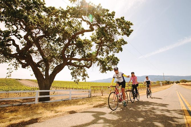 Wine Country Farm to Table Bike Tour w/Lunch - Key points at a glance