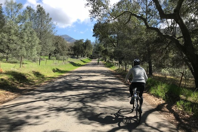 Wine Country Half-Day Bike Tour from Solvang - w/o Lunch - Key points to know before you book
