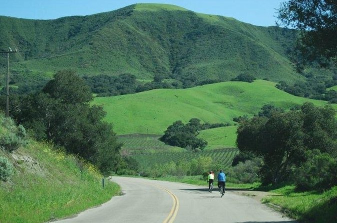 Wine Country Half-Day Bike Tour from Solvang - w/o Lunch - Riding from Ballard toward Los Olivos