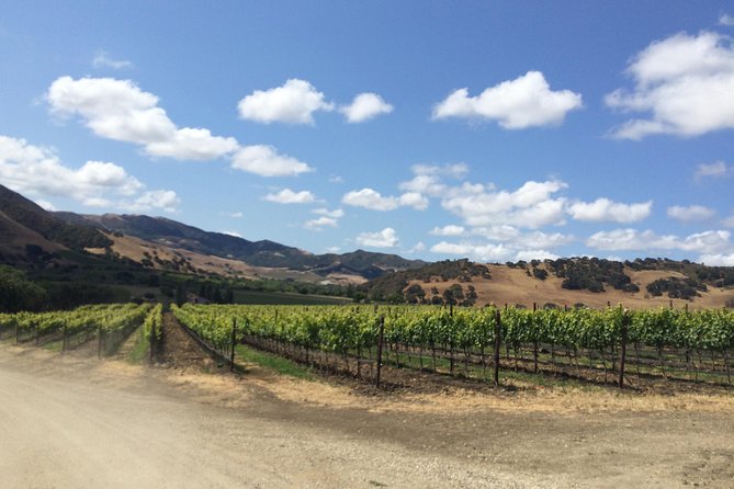 Wine Lovers Tour from Santa Barbara Area - Key points at a glance