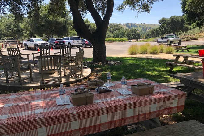 Wine Lovers Tour from Santa Barbara Area - What the guide adds to the day