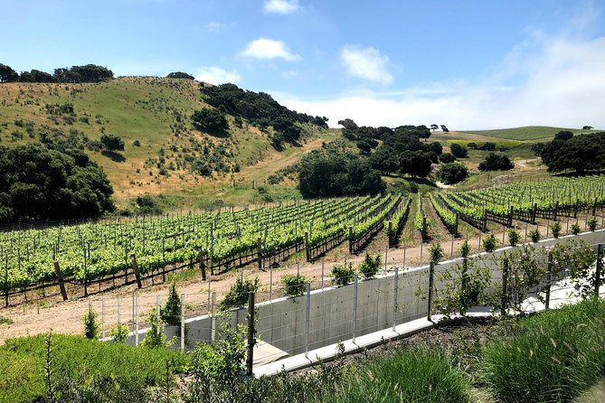 Wine Lovers Tour from Santa Barbara Area - Lunch, water, and the real value of the $225 price