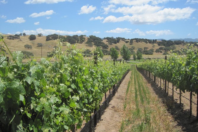 Wine Lovers Tour from Santa Barbara Area - The valley drive: Solvang, Los Olivos, and beyond