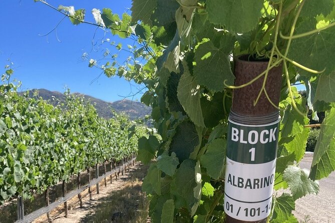 Wine Tours One - More than wine: Santa Barbara sights and history
