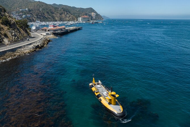 Yellow Semi-Submarine Tour of Catalina Island From Avalon - Key points to know before boarding