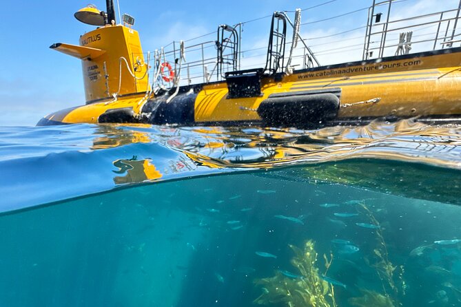 Yellow Semi-Submarine Tour of Catalina Island From Avalon - Starting at the Green Pleasure Pier in Avalon