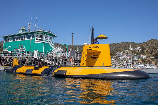 Yellow Semi-Submarine Tour of Catalina Island From Avalon - Is the $53 price good value?