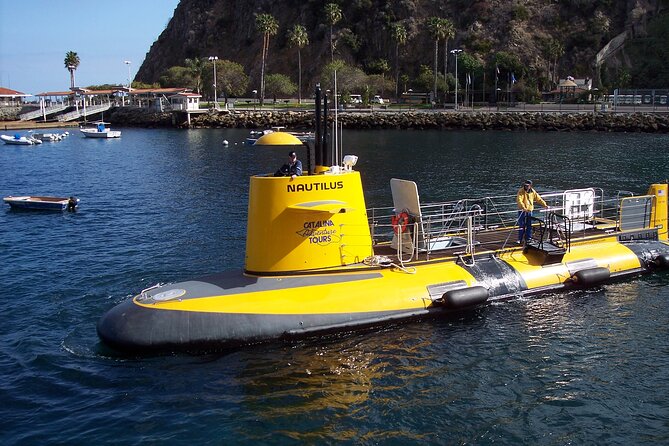 Yellow Semi-Submarine Tour of Catalina Island From Avalon - Choosing a departure time and seat