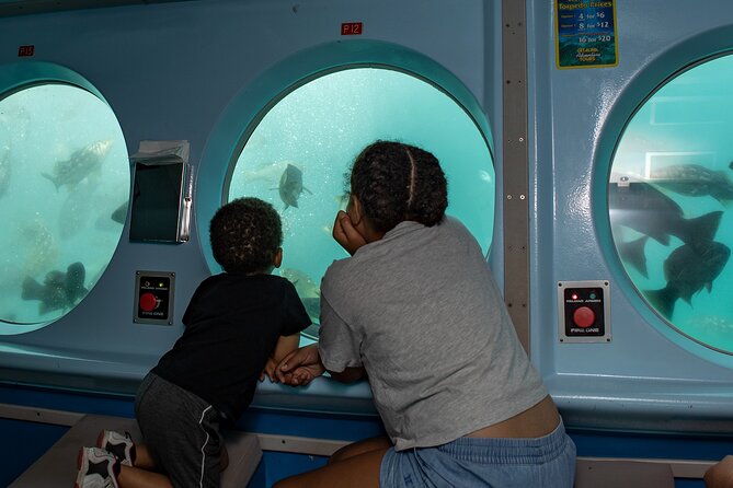 Yellow Semi-Submarine Tour of Catalina Island From Avalon - Who will enjoy this most?