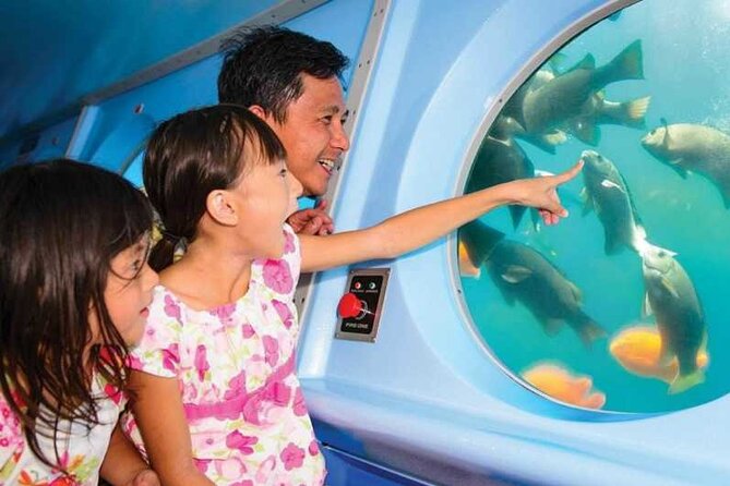 Yellow Semi-Submarine Tour of Catalina Island From Avalon - The SS Nautilus and its six-foot underwater cabin